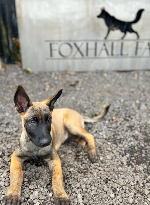 Foxhall Farm เทิร์สก์ ภายนอก รูปภาพ